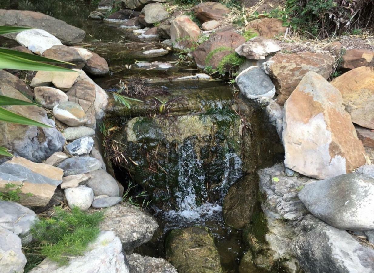 Jardines De Las Golondrinas ماربيا المظهر الخارجي الصورة